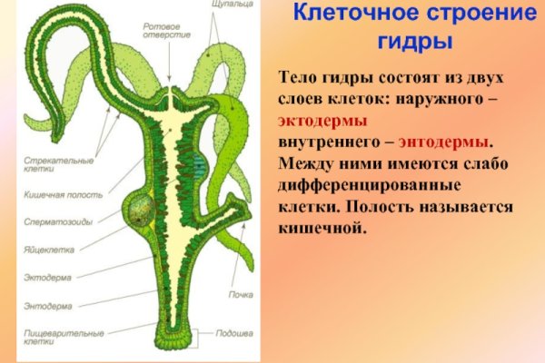 Войти в мегу