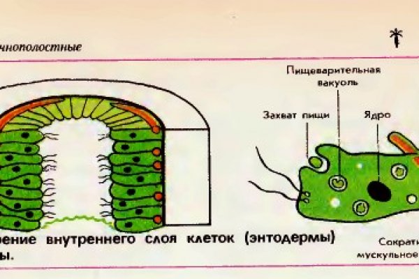 Омг сайт в тор браузере зеркало