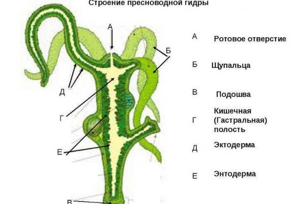 Как загрузить фото в блэкспрут