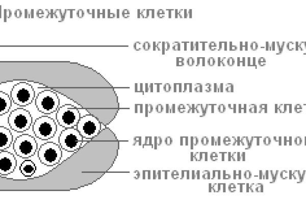 Кракен сайт наркотиков